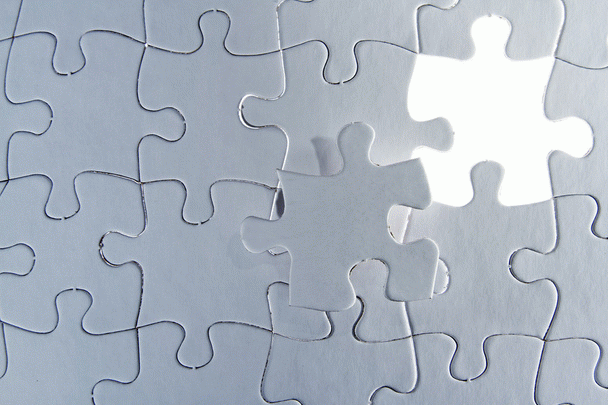 ۱۸ نکته کلیدی در قوانین پانسیون سگ‌ها و معرفی بهترین پانسیون تهران